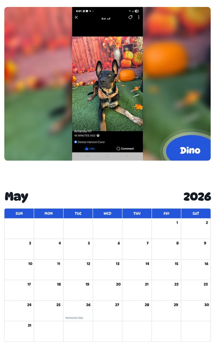 2026 - 2027 Dino - Pawidols Pet Calendar