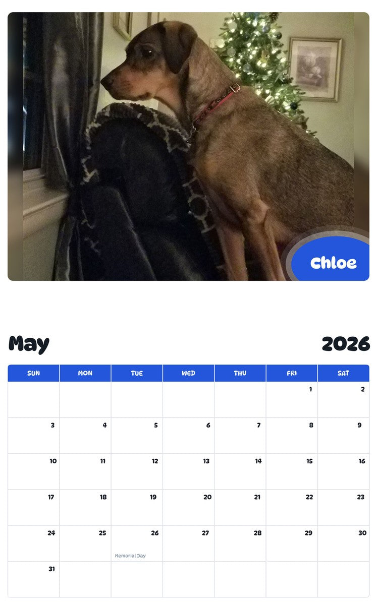 2026 - 2027 Chloe - Pawidols Pet Calendar
