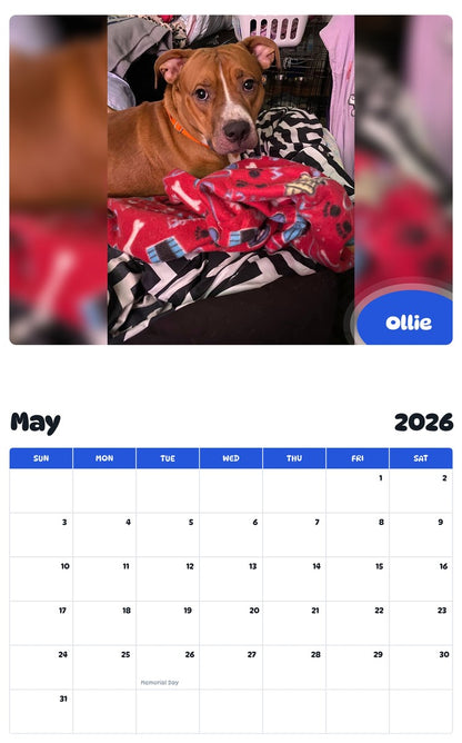 2026 - 2027 Ollie - Pawidols Pet Calendar