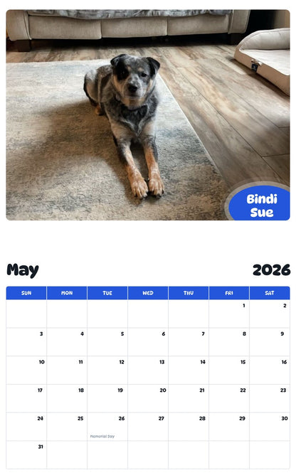 2026 - 2027 Bindi Sue - Pawidols Pet Calendar