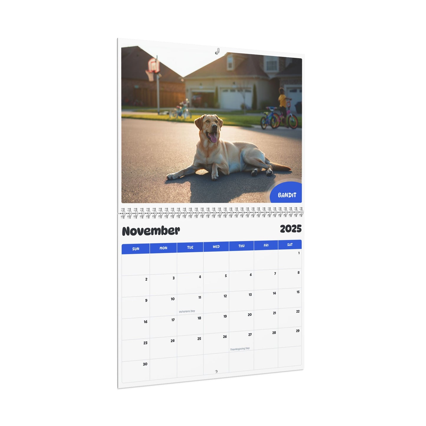 November 2025 - October 2026 Luna - Pawidols Pet Calendar
