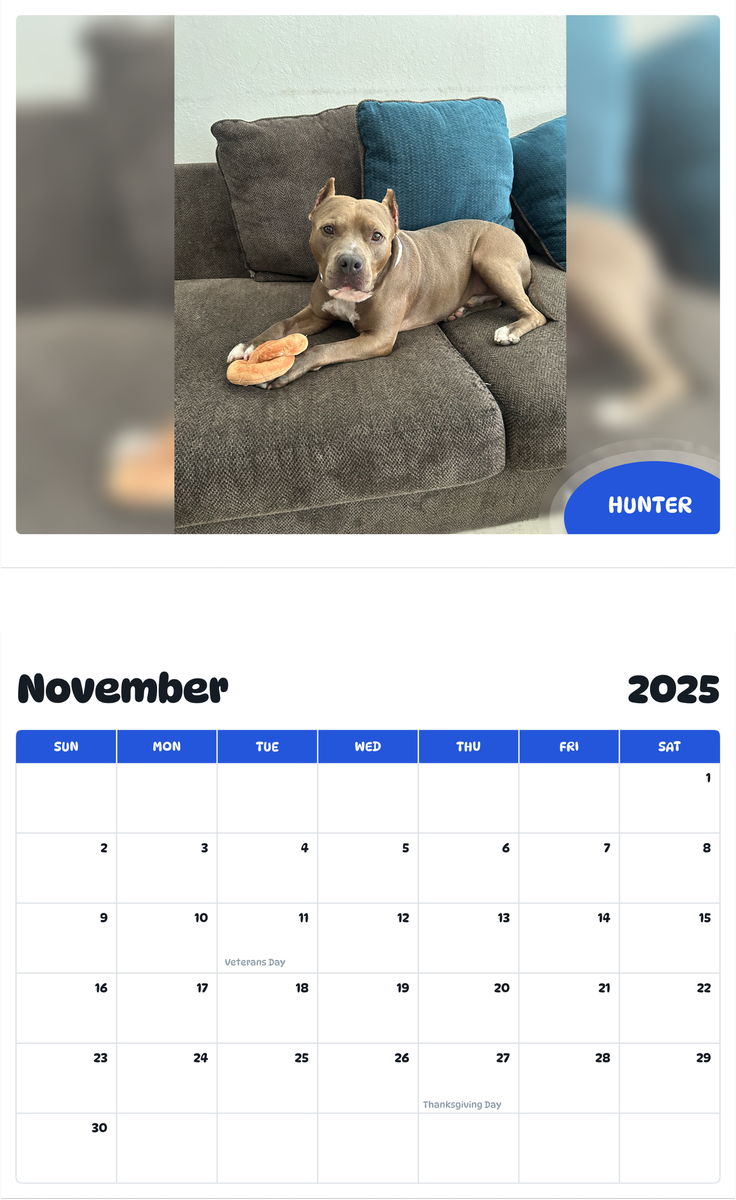 July 2025 - June 2026 Hunter - Pawidols Pet Calendar
