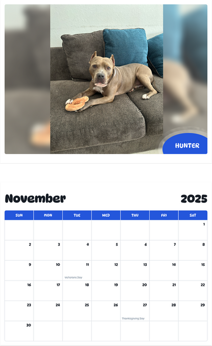 July 2025 - June 2026 Hunter - Pawidols Pet Calendar