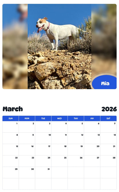 November 2025 - October 2026 Mia - Pawidols Pet Calendar