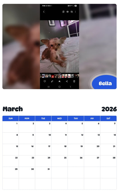 November 2025 - October 2026 Bella - Pawidols Pet Calendar