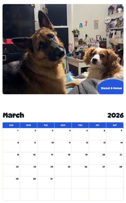 November 2025 - October 2026 Diesel & Venus - Pawidols Pet Calendar