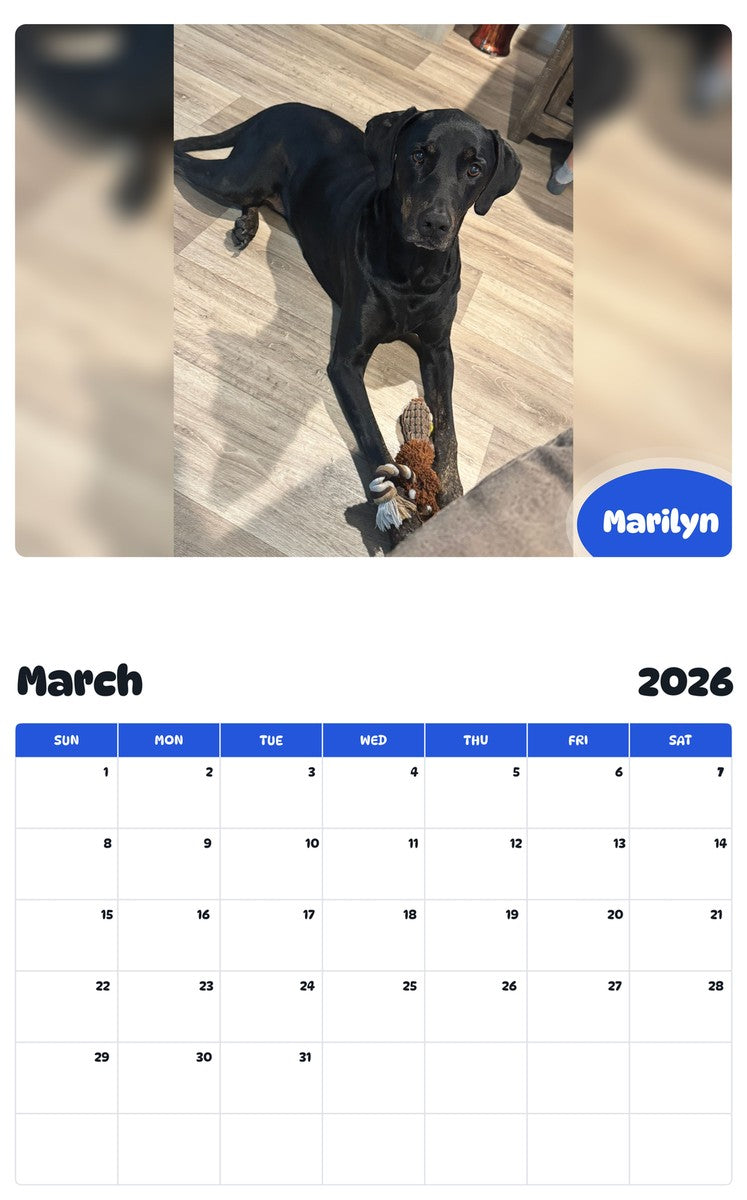 November 2025 - October 2026 Marilyn - Pawidols Pet Calendar