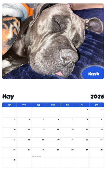 2026 - 2027 Kash - Pawidols Pet Calendar