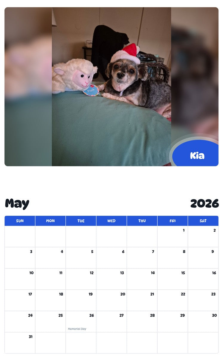 2026 - 2027 Kia - Pawidols Pet Calendar