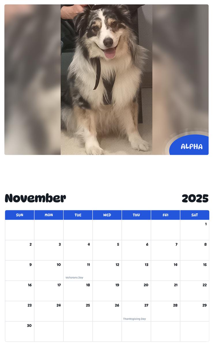 July 2025 - June 2026 Alpha - Pawidols Pet Calendar