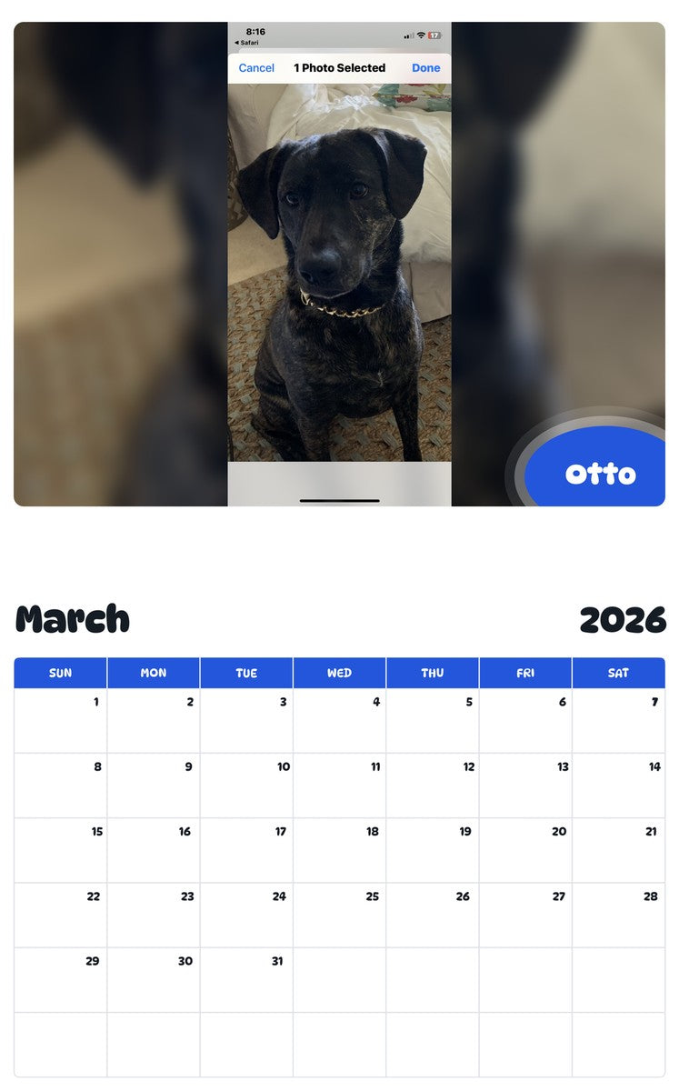 November 2025 - October 2026 Otto - Pawidols Pet Calendar