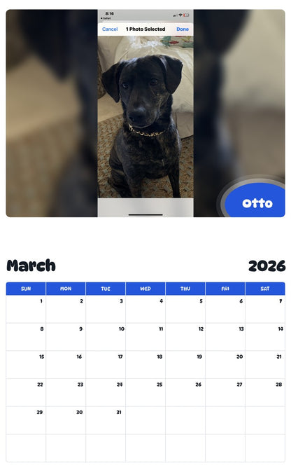 November 2025 - October 2026 Otto - Pawidols Pet Calendar