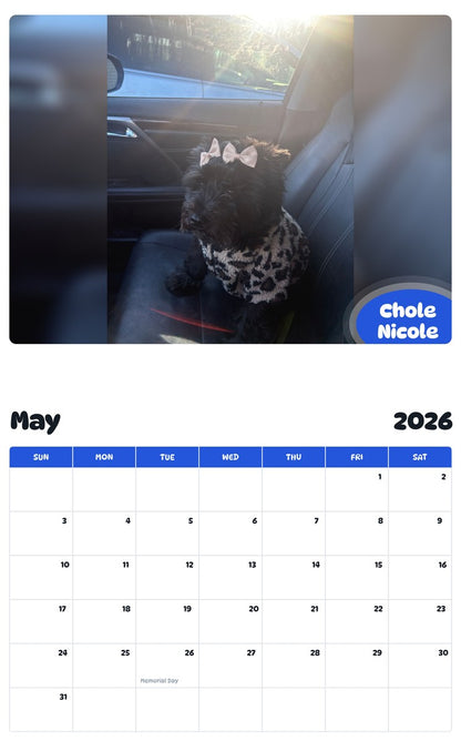 2026 - 2027 Chole Nicole - Pawidols Pet Calendar