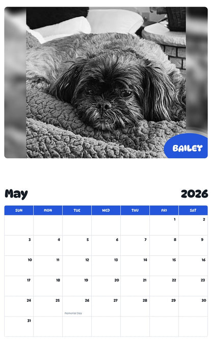 2026 - 2027 BAILEY - Pawidols Pet Calendar