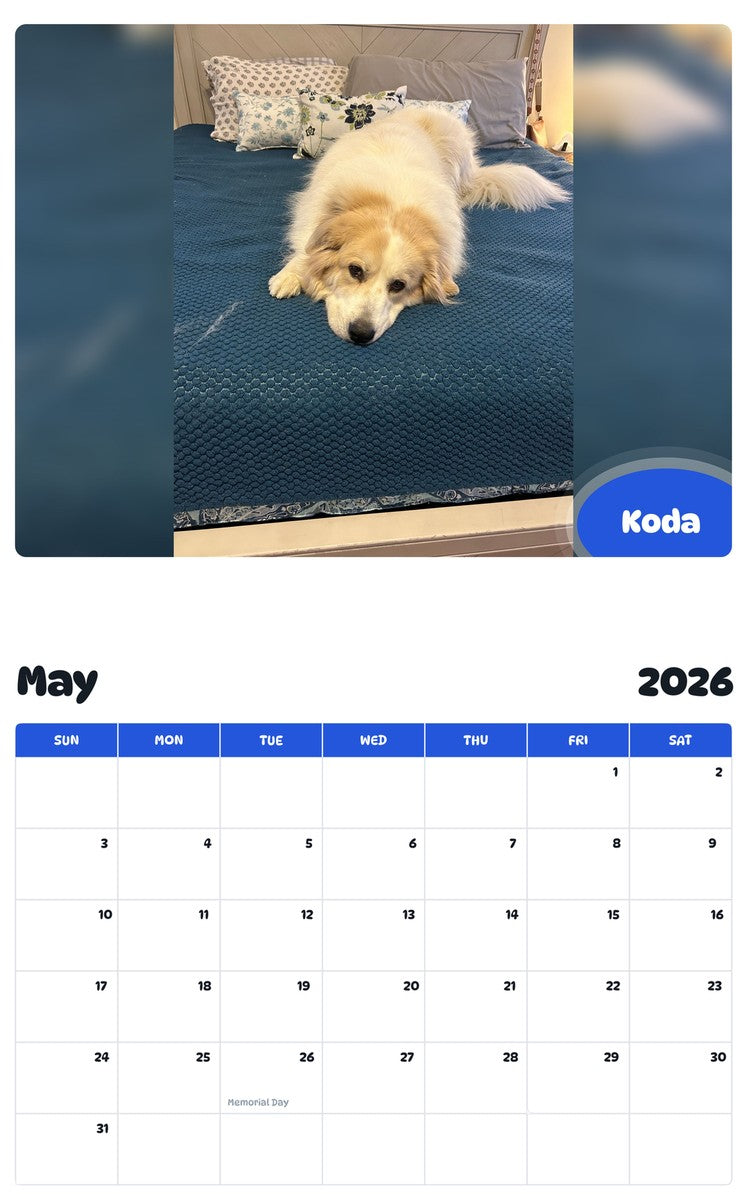 2026 - 2027 Koda - Pawidols Pet Calendar