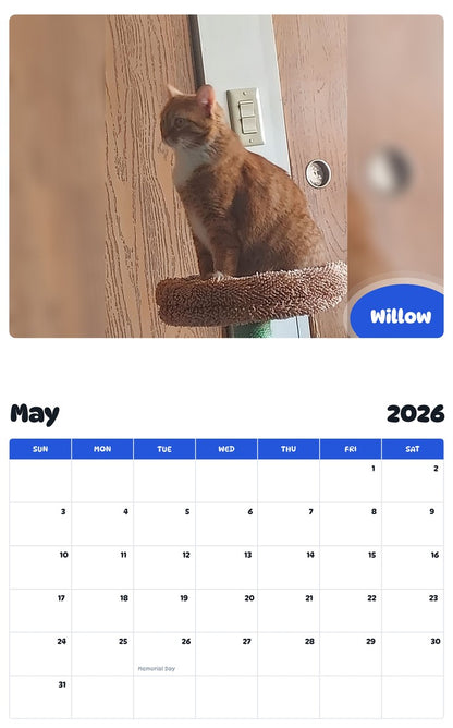 2026 - 2027 Willow - Pawidols Pet Calendar