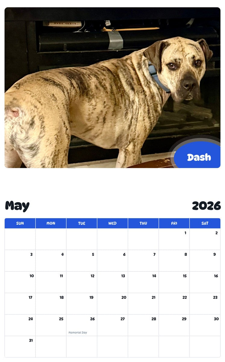 2026 - 2027 Dash - Pawidols Pet Calendar