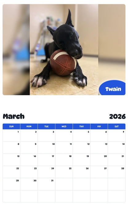 November 2025 - October 2026 Twain - Pawidols Pet Calendar