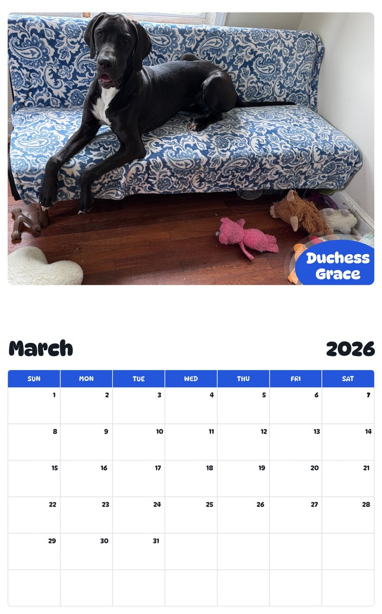 November 2025 - October 2026 Duchess Grace - Pawidols Pet Calendar