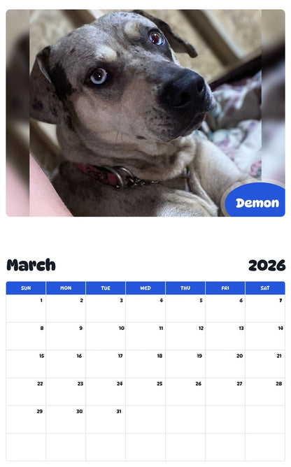 November 2025 - October 2026 Demon - Pawidols Pet Calendar