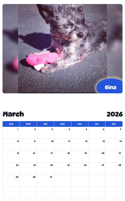 November 2025 - October 2026 Bina - Pawidols Pet Calendar