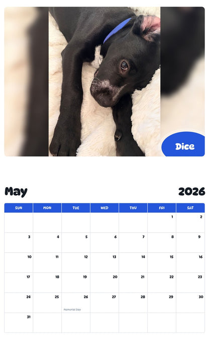 2026 - 2027 Dice - Pawidols Pet Calendar