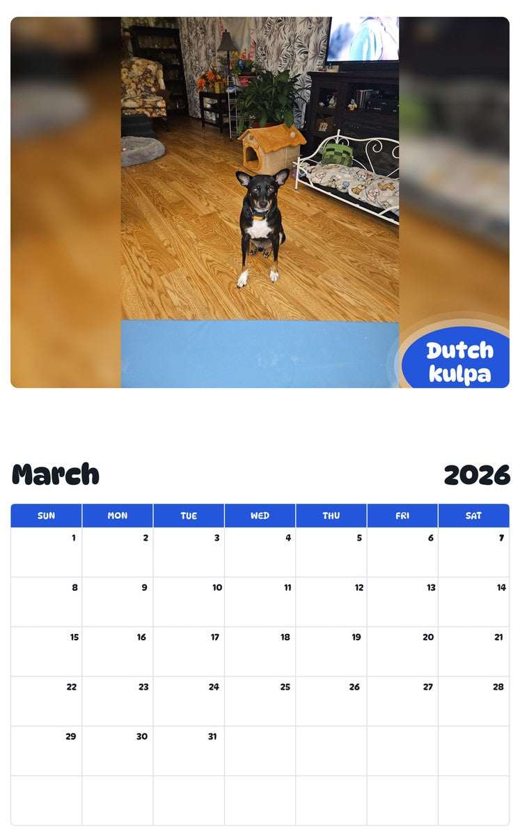 November 2025 - October 2026 Dutch  kulpa - Pawidols Pet Calendar