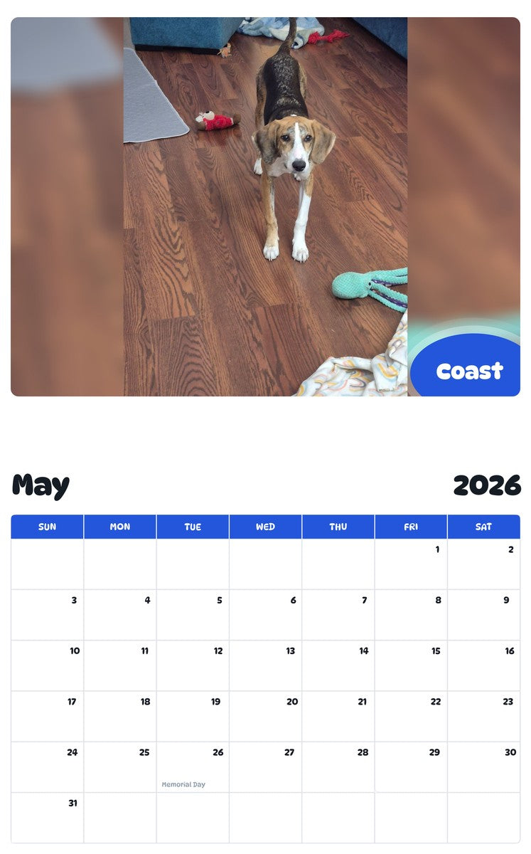 2026 - 2027 Coast - Pawidols Pet Calendar