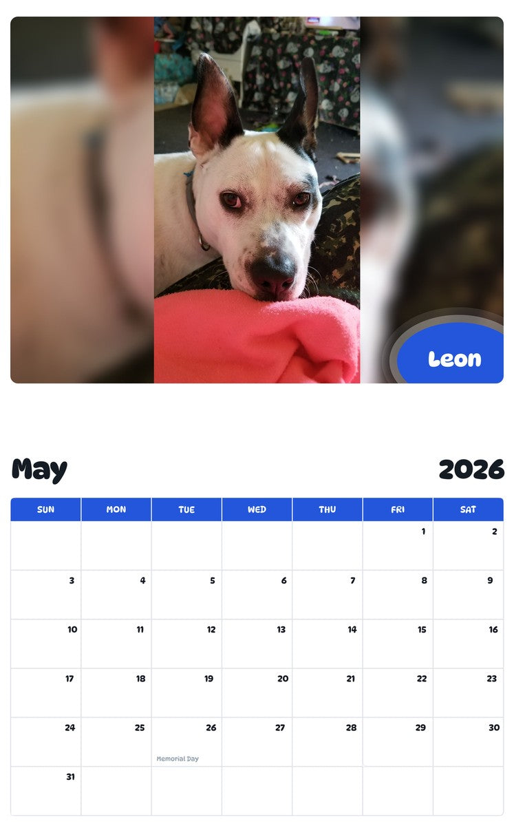 2026 - 2027 Leon - Pawidols Pet Calendar