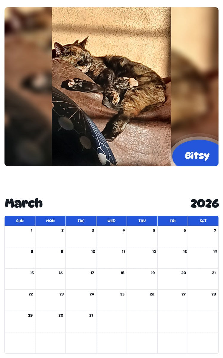 November 2025 - October 2026 Bitsy - Pawidols Pet Calendar