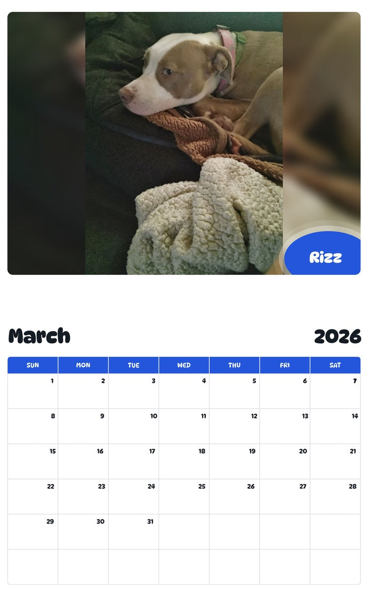 November 2025 - October 2026 Rizz - Pawidols Pet Calendar