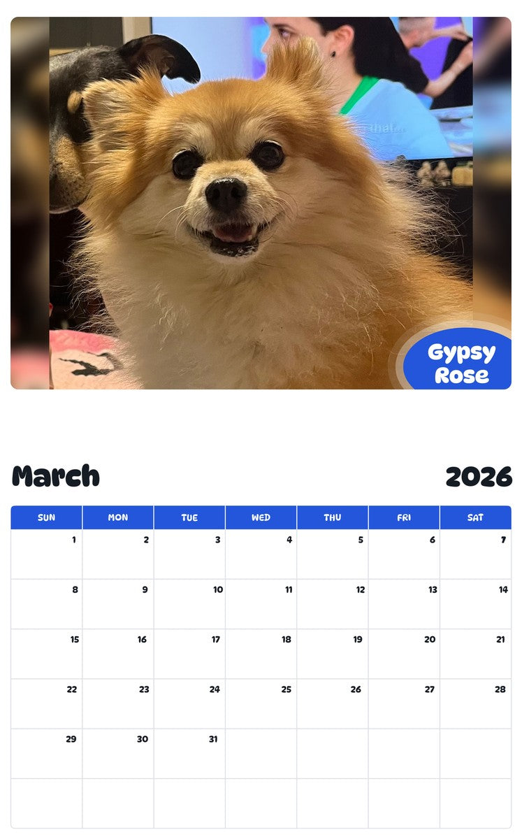 November 2025 - October 2026 Gypsy Rose - Pawidols Pet Calendar