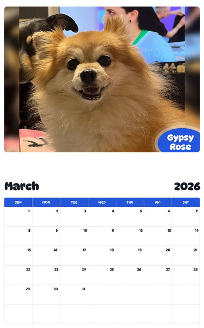 November 2025 - October 2026 Gypsy Rose - Pawidols Pet Calendar