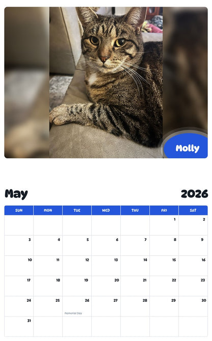 2026 - 2027 Molly - Pawidols Pet Calendar
