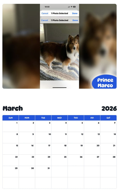 November 2025 - October 2026 Prince Marco - Pawidols Pet Calendar