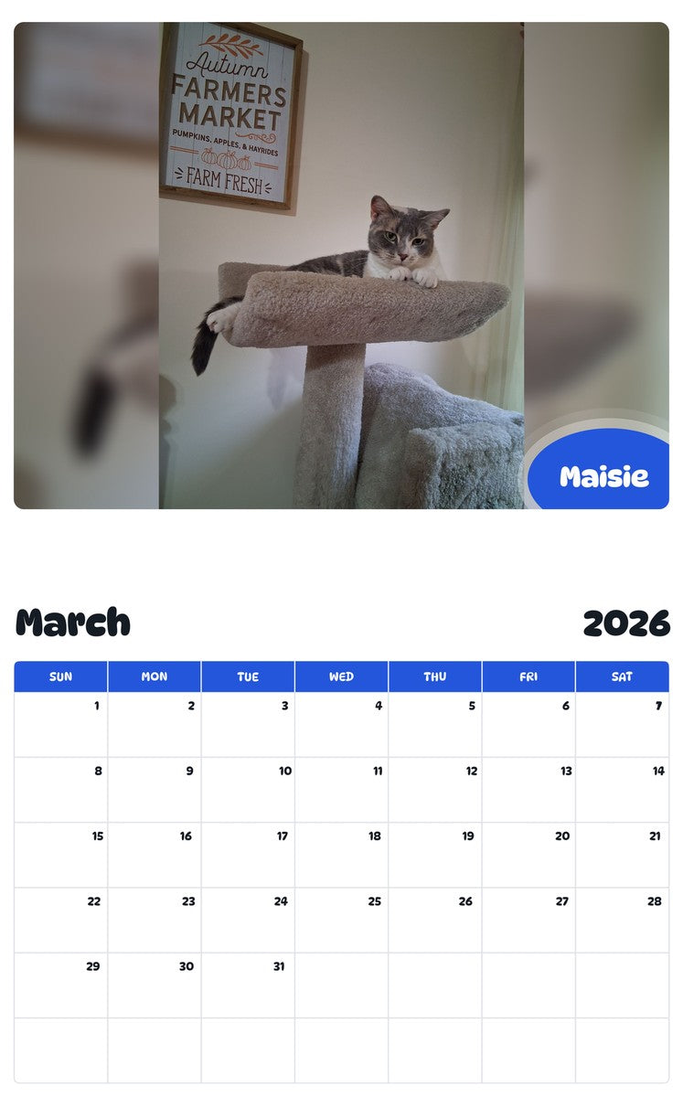 November 2025 - October 2026 Maisie - Pawidols Pet Calendar