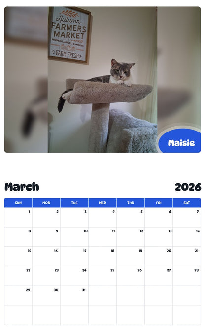 November 2025 - October 2026 Maisie - Pawidols Pet Calendar