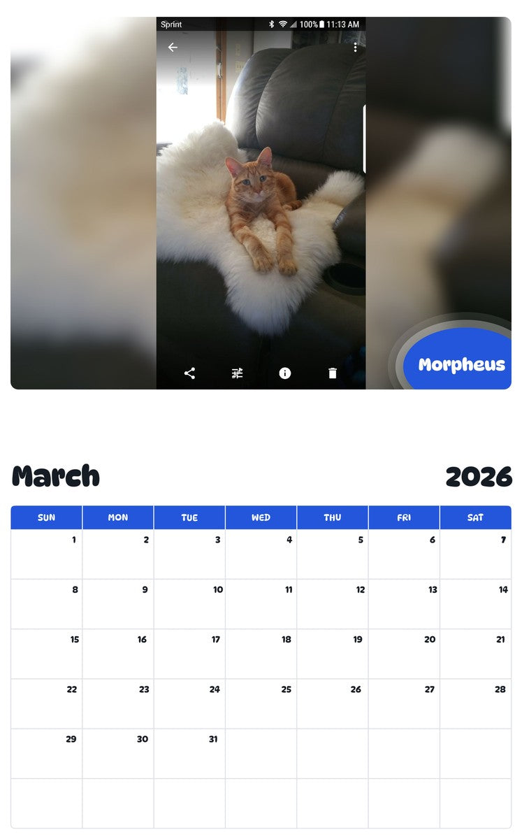 November 2025 - October 2026 Morpheus - Pawidols Pet Calendar