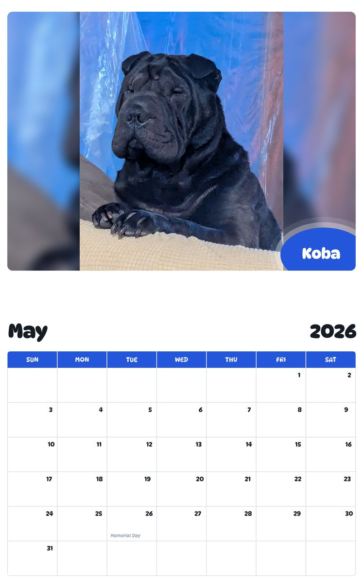 2026 - 2027 Koba - Pawidols Pet Calendar