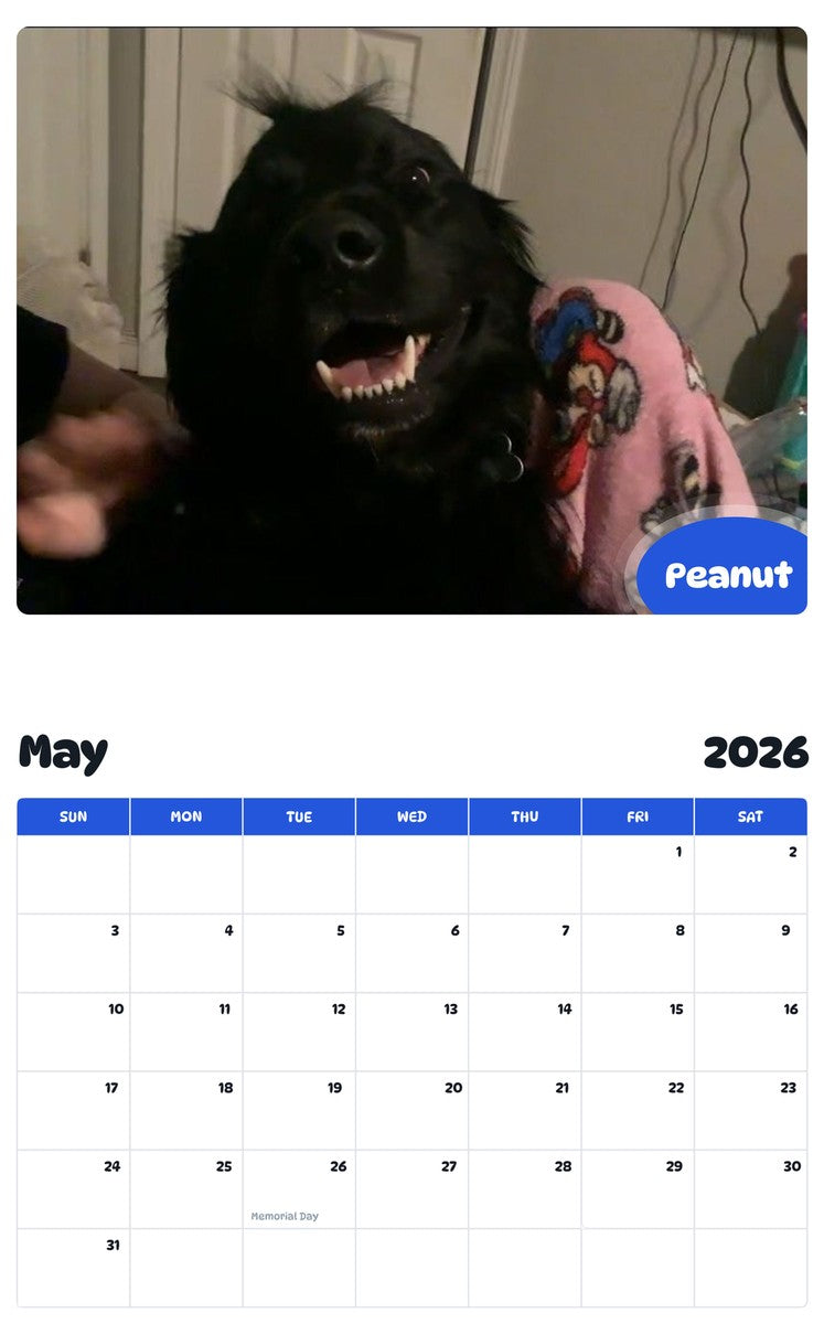 2026 - 2027 Peanut - Pawidols Pet Calendar