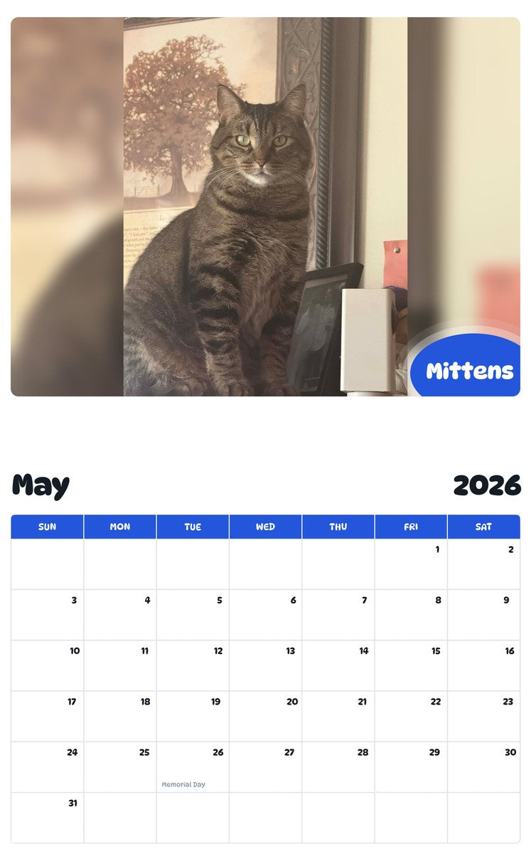 2026 - 2027 Mittens - Pawidols Pet Calendar