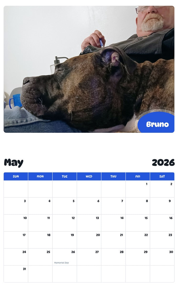 2026 - 2027 Bruno - Pawidols Pet Calendar