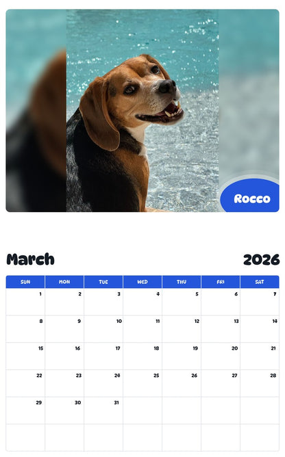 November 2025 - October 2026 Rocco - Pawidols Pet Calendar