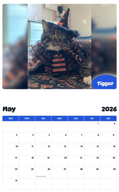 2026 - 2027 Tigger - Pawidols Pet Calendar