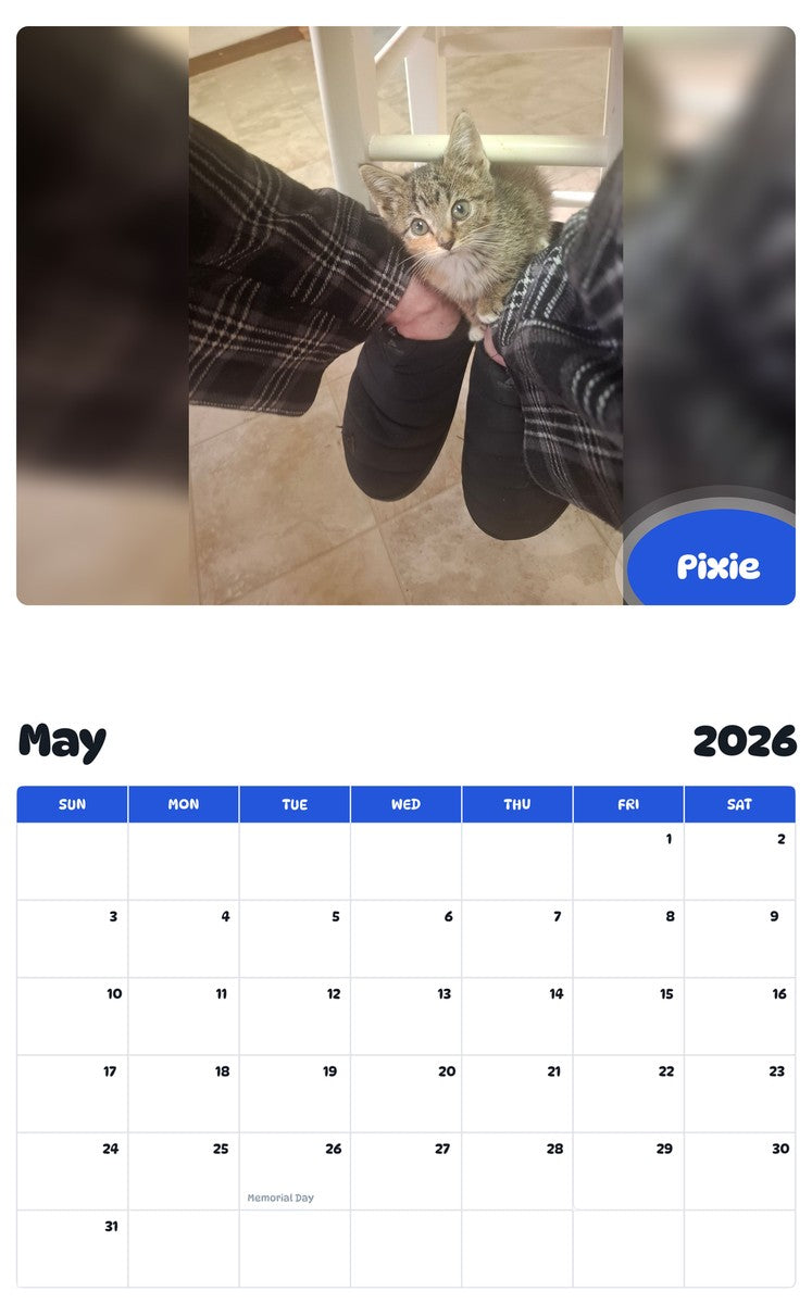 2026 - 2027 Pixie - Pawidols Pet Calendar