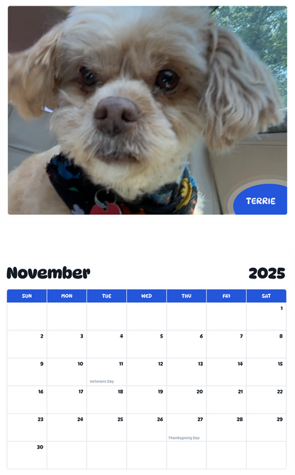 July 2025 - June 2026 terrie - Pawidols Pet Calendar