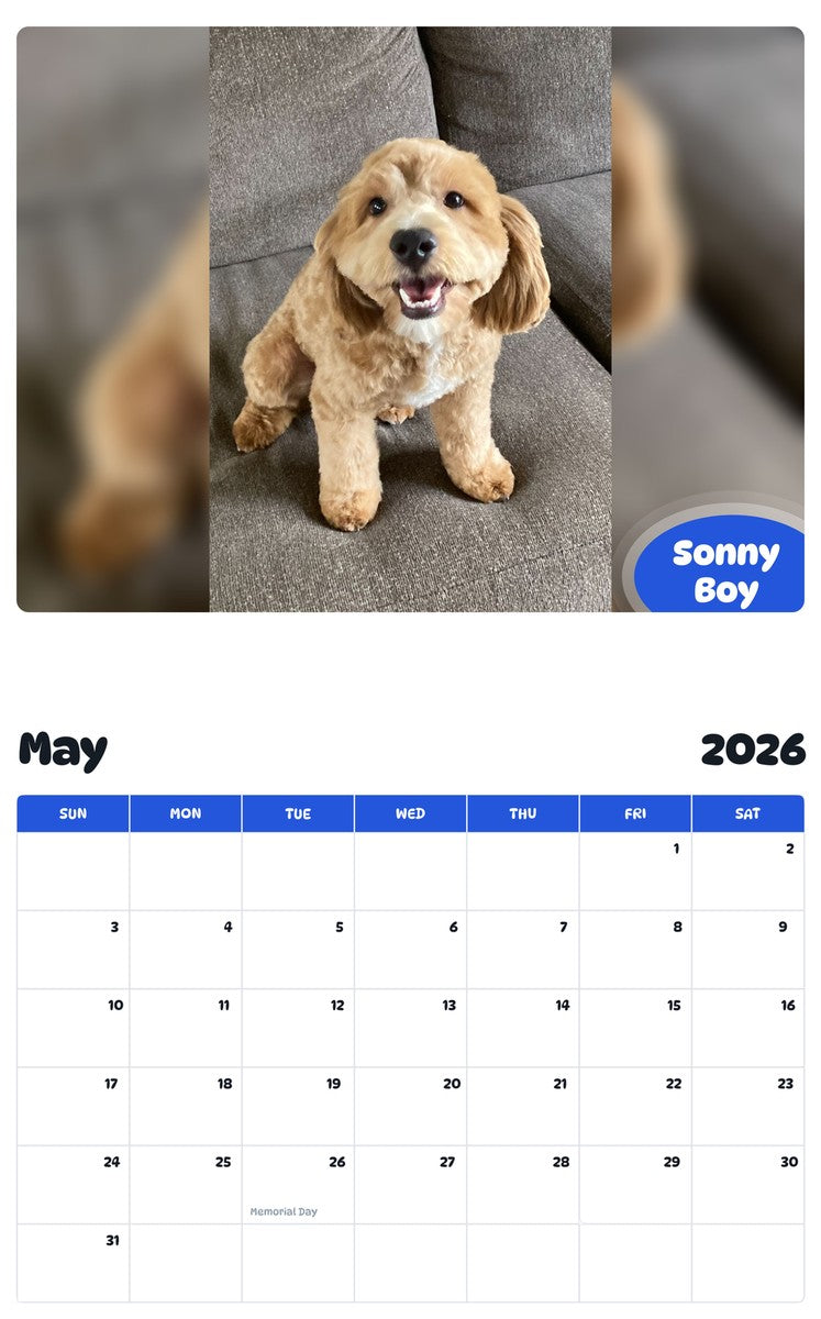 2026 - 2027 Sonny Boy - Pawidols Pet Calendar