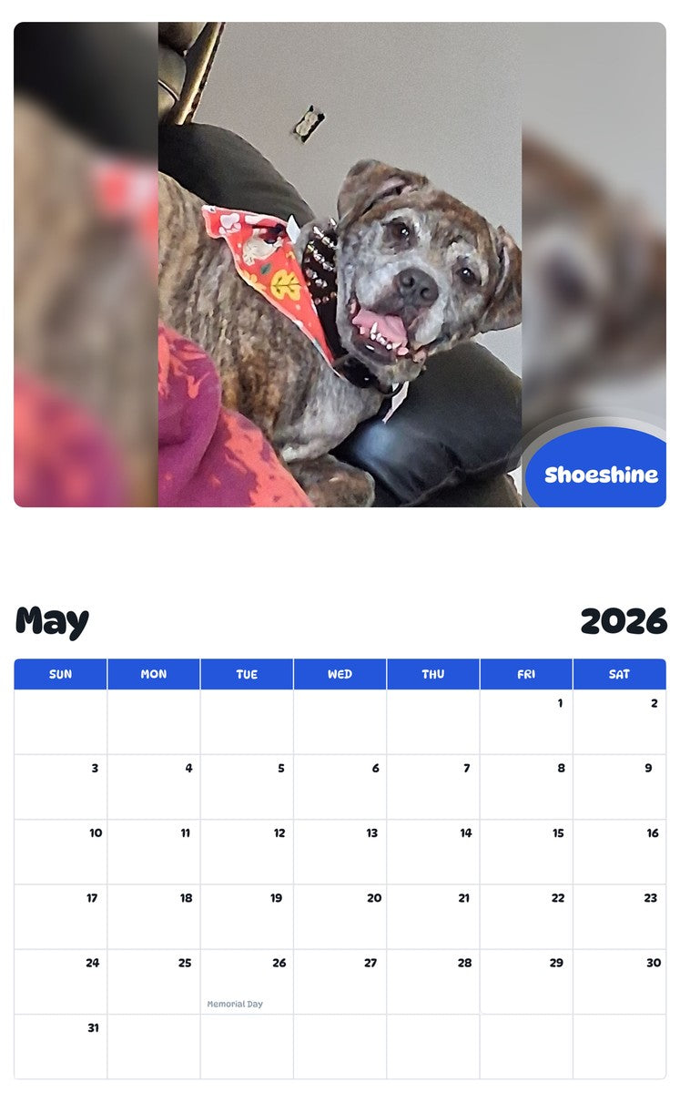 2026 - 2027 Shoeshine - Pawidols Pet Calendar