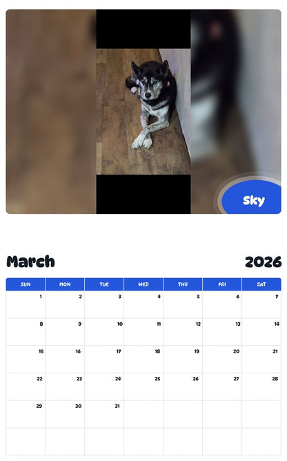 November 2025 - October 2026 Sky - Pawidols Pet Calendar