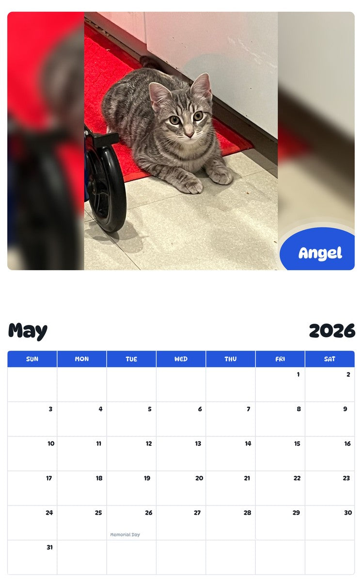 2026 - 2027 Angel - Pawidols Pet Calendar